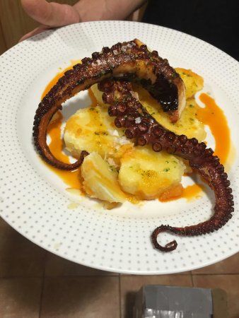 Casa do Pulpo